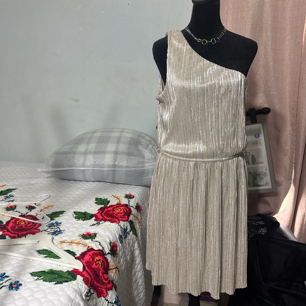 Express One-Shoulder Silver Pleated Dress
